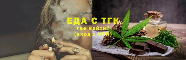 тгк Инсар
