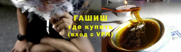 тгк Инсар